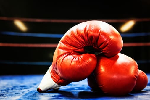 Celebrity boxing match punches up ratings