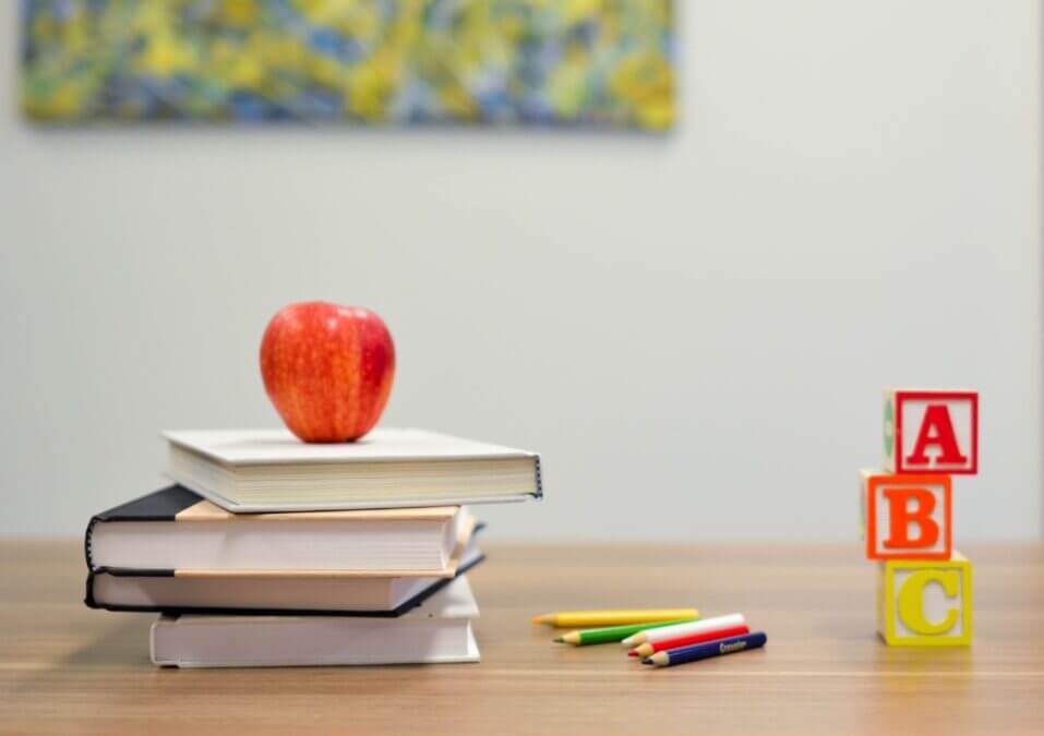 Collaboration schools provide hope for SA’s education system